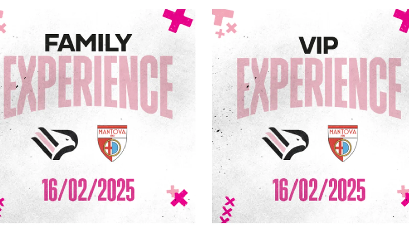 VIP Experience al Renzo Barbera: vivere il dietro le quinte della partita